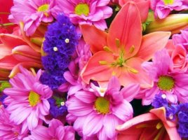 35175_prev_425.jpg