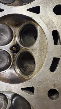 IMG_2043.jpeg