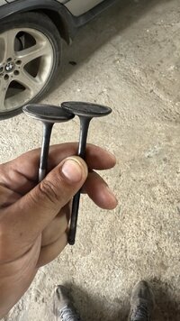 IMG_2045.jpeg