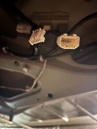 IMG_7560.jpeg