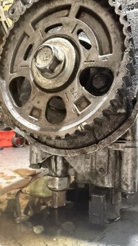 IMG_4566.jpeg