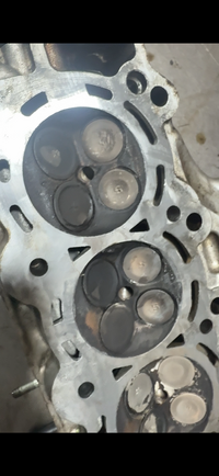 IMG_4611.png