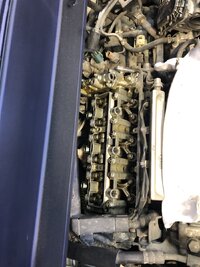 IMG_5802.jpeg