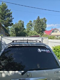 P_20260620_160733.jpg