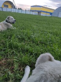 IMG_20260616_204701.jpg