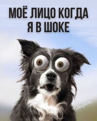 6f809e42b8937b085c67bab420e6bc6a.jpg