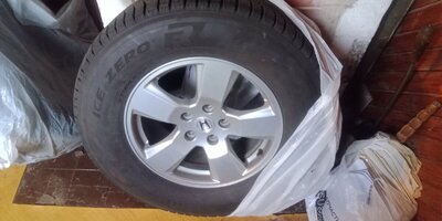 IMG_20260816_145508_184.jpg