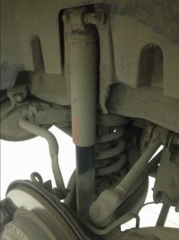 image.jpeg
