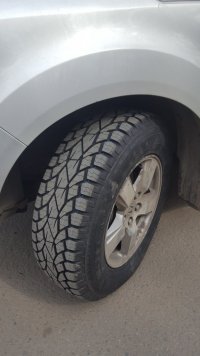 20180425_131428.jpg