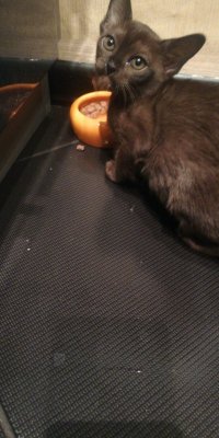 IMG-20181216-WA0006.jpeg