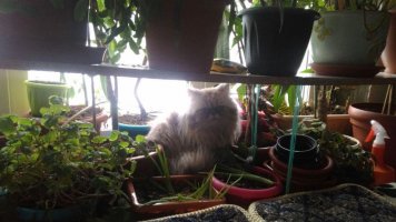 IMG-20191009-WA0001.jpg