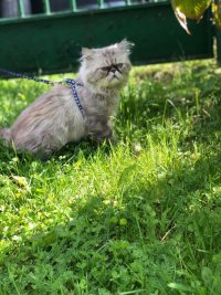 IMG-20191008-WA0003.jpg