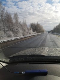 IMG_20200416_071552.jpg