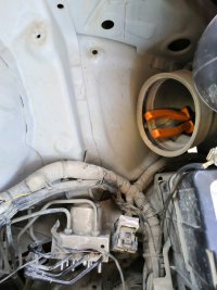 IMG_20200724_101857.jpg