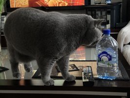 AE9811DB-BAF0-4267-A187-71E4BFC1A27F.jpeg