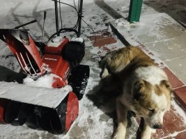 749CF07D-40E5-4CA6-B7E6-EFEB23544D30.jpeg