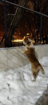IMG_20211205_181752.jpg