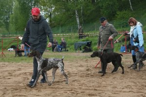 IMG_2959.JPG