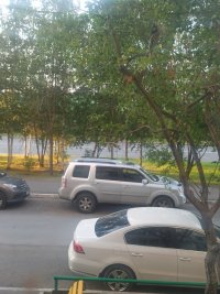 IMG_20220727_195805.jpg