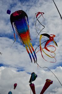 DSC_4520.JPG