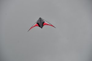DSC_4531.JPG