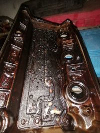 IMG-20230512-WA0005.jpg