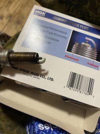 IMG_3343.jpeg