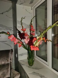 IMG20230910215207.jpg