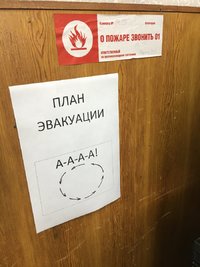 IMG_0119.jpeg