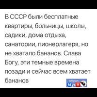 IMG_2032.jpeg
