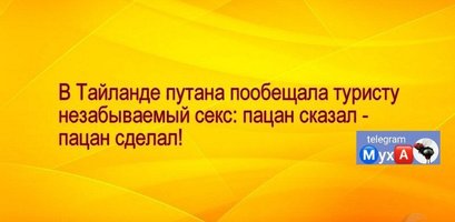 IMG_2034.jpeg