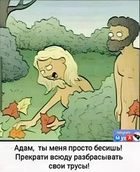IMG_2031.jpeg