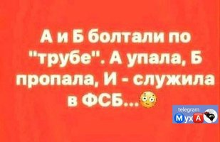 IMG_2036.jpeg