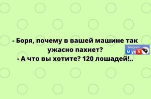 IMG_2035.jpeg