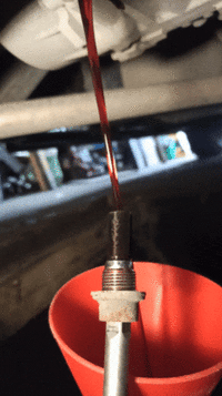 InShot_20231020_122847315.gif
