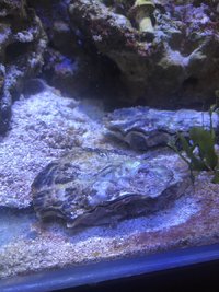 IMG_2638.jpeg