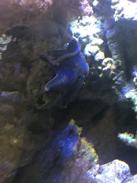 IMG_2641.jpeg
