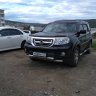 Solovei49reg