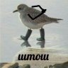 Андрей777